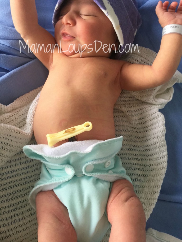 Easy Peasies Newborn AIO Review on Little Miss Cub ~ 2