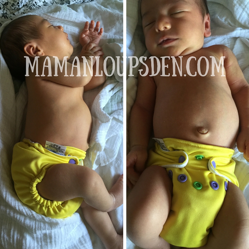 Nuggles Bittee Review ~ Maman Loup's Den 2