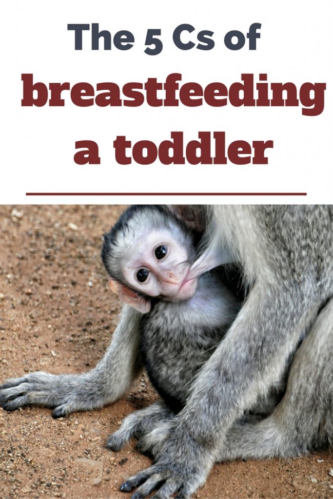 the-5-cs-of-breastfeeding-a-toddler