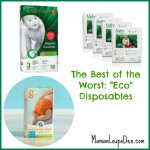 Eco-Disposable Diapers: The Best of the Worst