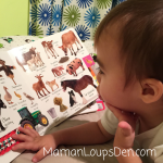 DK Books “My First” Preschool Picture Board Books Review