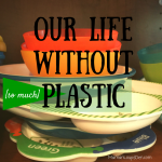 Our Life Without (so much) Plastic