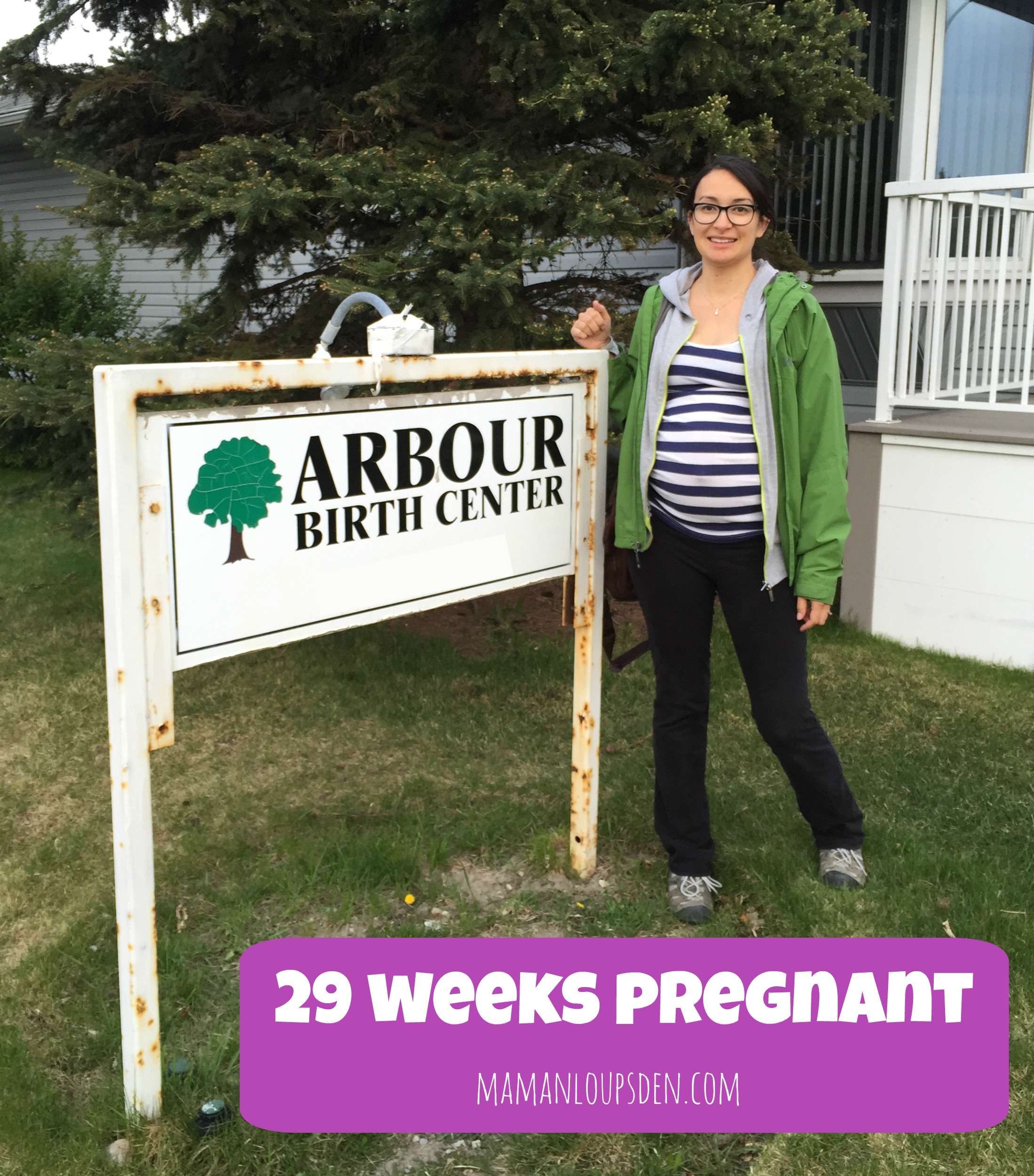 29 weeks pregnant: pregnancy journal