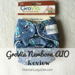 GroVia Newborn AIO Review