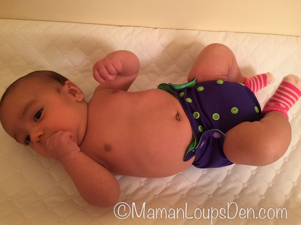 Ella Bella Bum Newborn Pocket Diaper Review ~ Maman Loup's Den