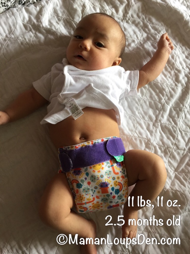 How do Newborn Diapers Fit at 12 lbs? - Maman Loup's Den