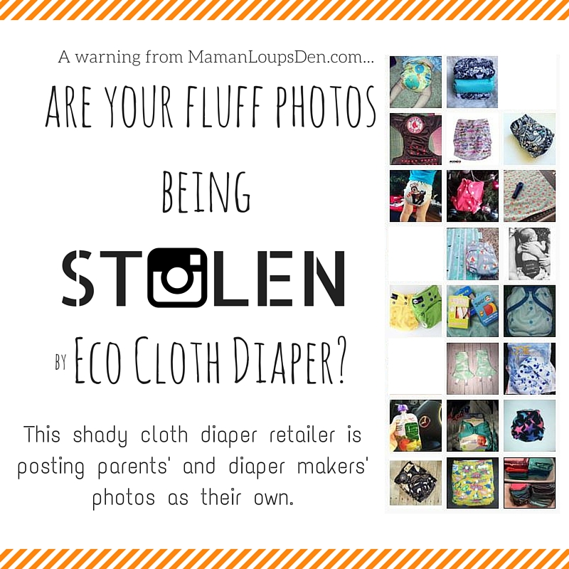 Are your fluff photos being Eco Cloth Diaper? - Maman Loup's Den 