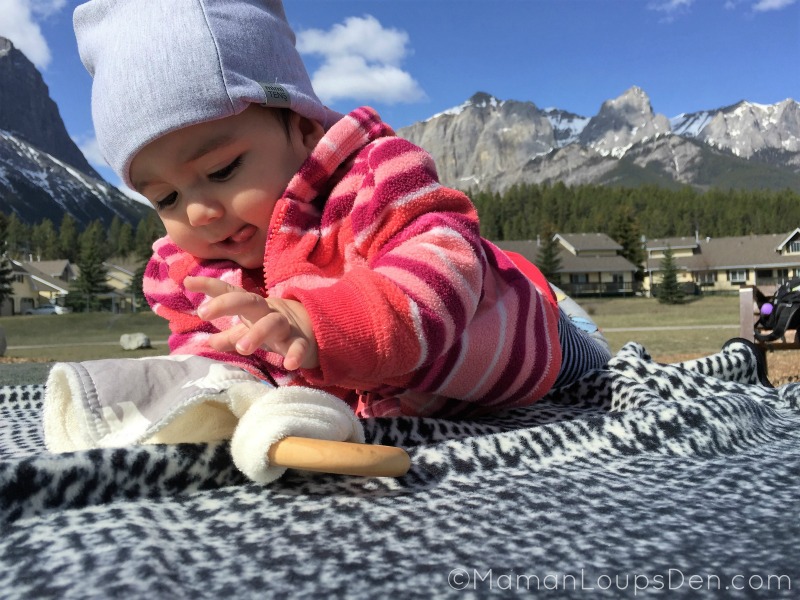 Little Miss Cub in Canmore