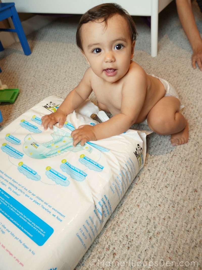Little Miss with Andy Pandy diapers package