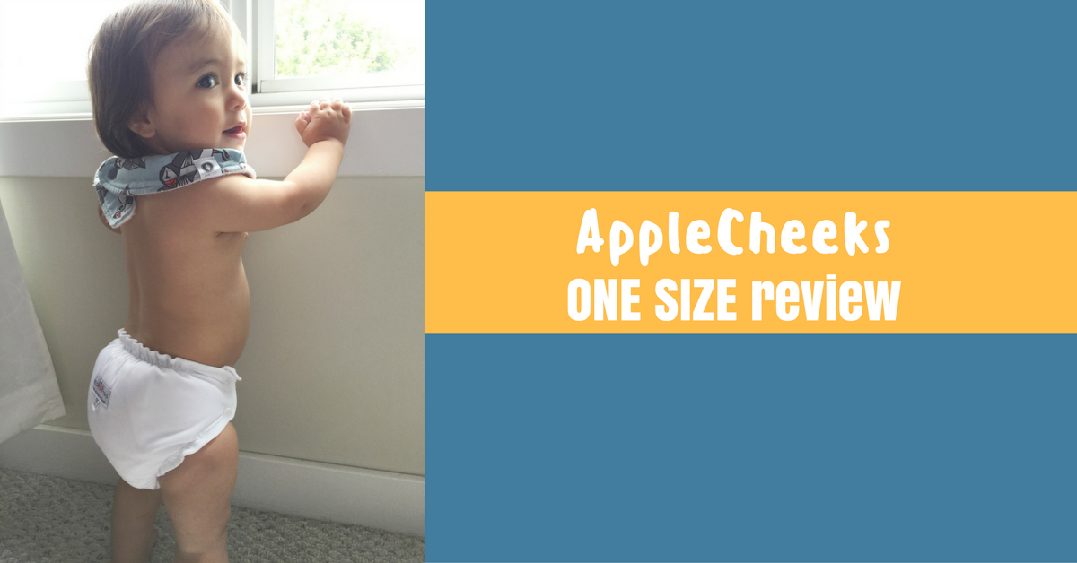 AppleCheeks One-Size Review