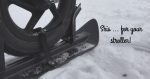Premier Ski Stroller Skis Review