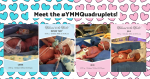 And babies make 7 … meet the #YMMQuadruplets!