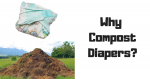 Why Compost Diapers?
