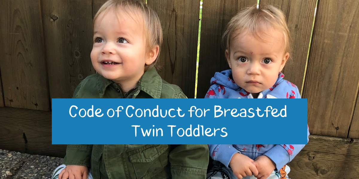 Code of Conduct for Breastfed Twin Toddlers