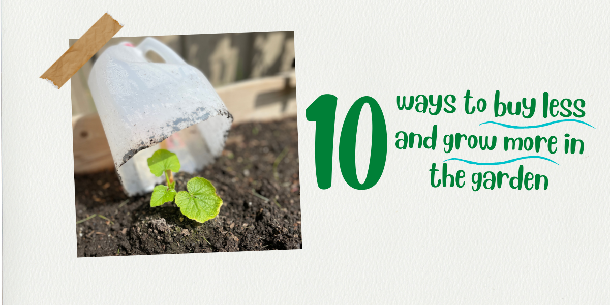 10 Ways to Grow More and Buy Less in the Garden